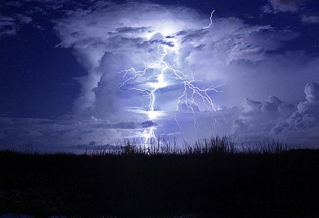 The Gray Man of Pawleys Island