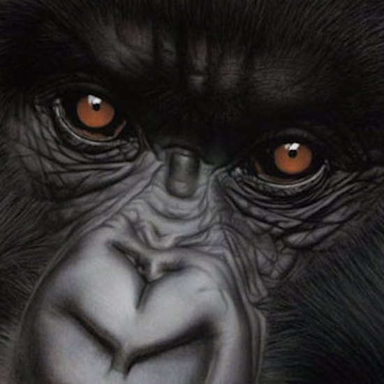 The Weirdest Cryptids That Turned Out To Be Real