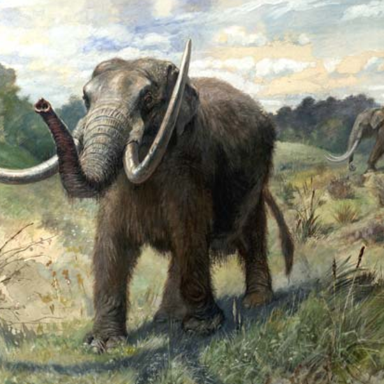 Does New Archaeological Evidence Show Human Activity In America 130,000 Years Ago?