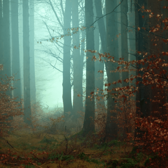 Eerie Lights Over Early Massachusetts: The First UFO Sightings in the New World