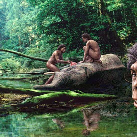 Hobbit Habitat Filled With Rat Bones Gives Clues to Their Extinction