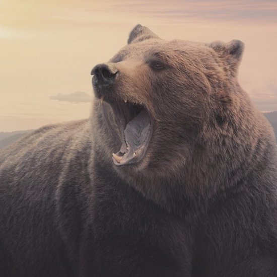 Why The Giant Animals of Madagascar Disappeared Just 1,000 Years Ago
