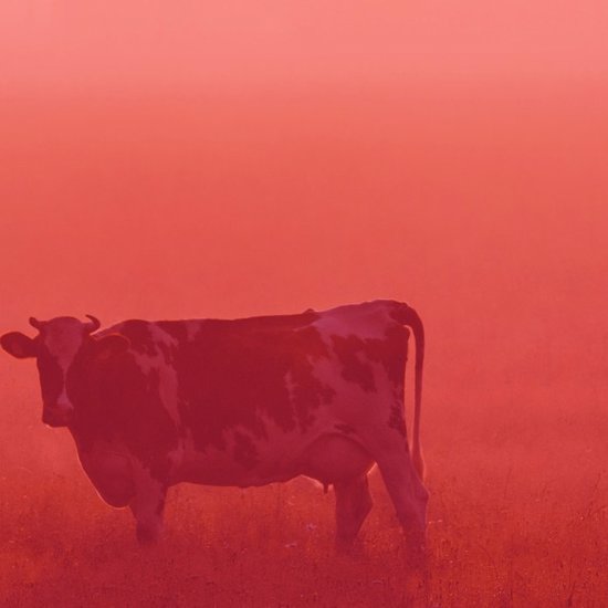 20.09 – MU Plus+ Podcast