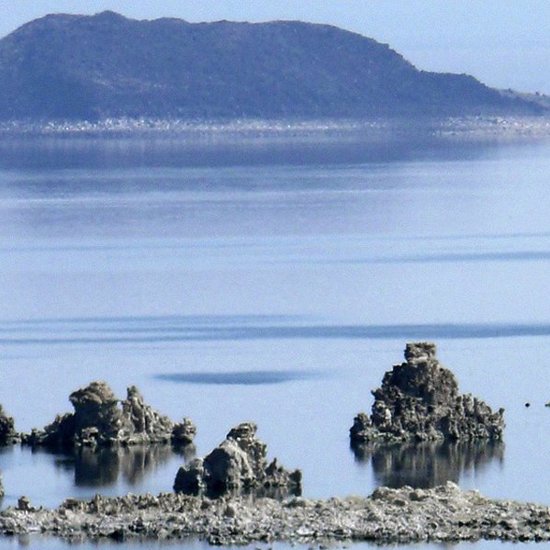 ‘Alien’ Worm With Three Sexes Discovered in Hostile California Lake