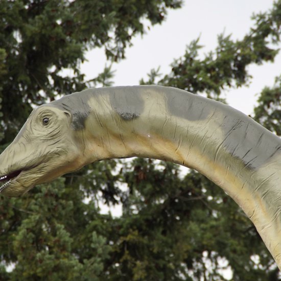 90-Million-Year-Old Dinosaur Was the First of its Kind Found in Asia