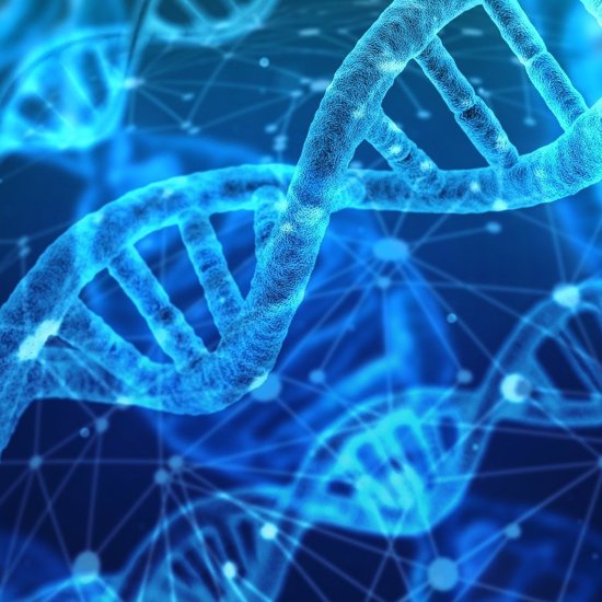 New DNA Study Reveals We Are No More Than 7% Modern Humans