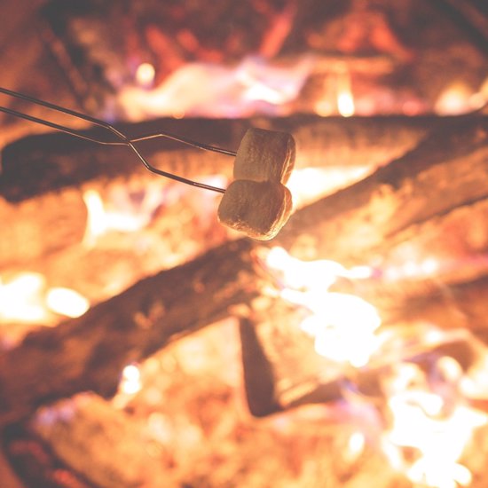 Ancient Neanderthal “Hunting Party” Camp Found in Spain