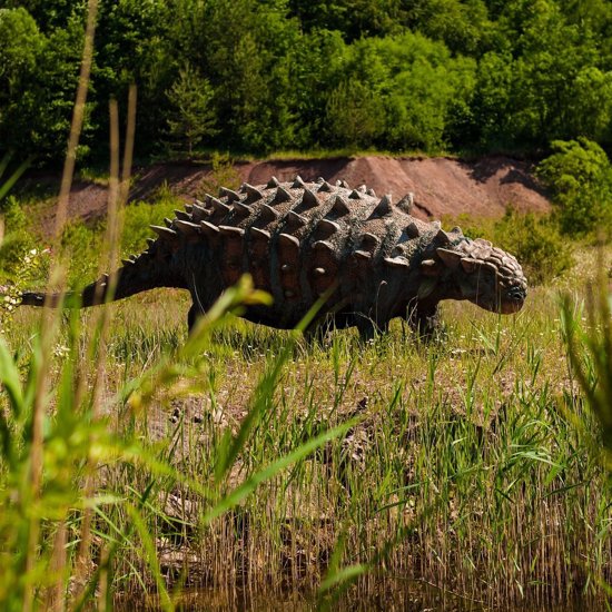 New Species of Spiked Armored Dinosaur is Unlike Anything Ever Found