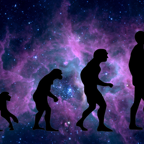 Newly Identified Homo Bodoensis May Be a Direct Ancestor of Modern Humans