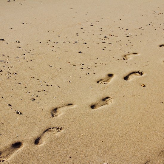 6.05-Million-Year-Old Tracks are the Oldest Footprints Made by a Pre-Human
