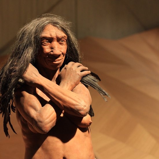 Neanderthals Were the First Species to Change the World