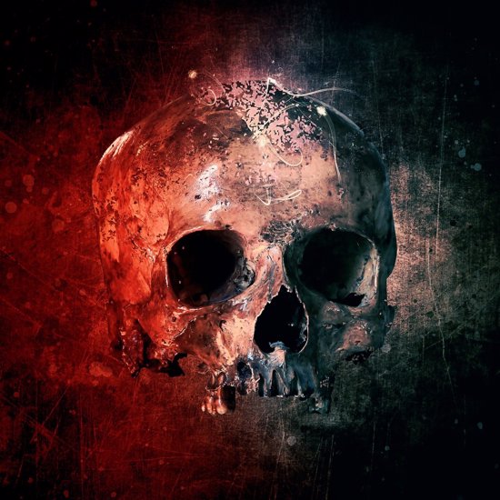 Metal Plate in an Ancient Skull May Have Been the First Advanced Head Surgery