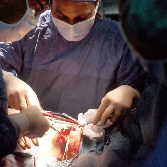First a Pig Heart, Now a Pig Kidney Has Been Transplanted in a Human