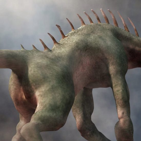 Chupacabra Alerts in Chile, Paraguay and Argentina