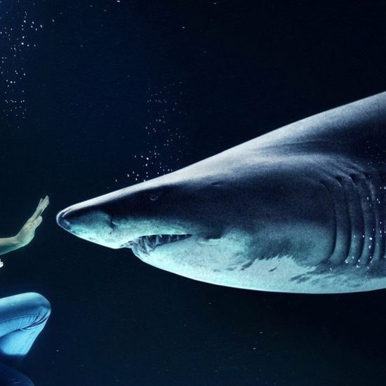 Scissorhands’ House, Sleeping Sharks, Mad Honey Poisoning and More Mysterious News Briefly — March 10, 2022