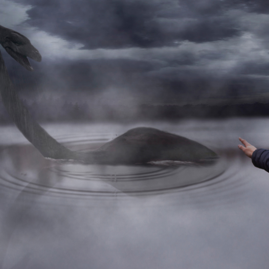 Two Recent Sightings of Nahuelito, the Legendary Lake Monster of Argentina