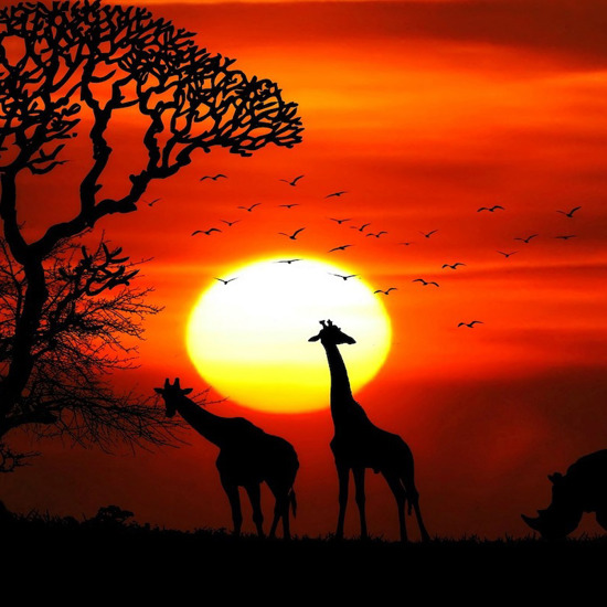 Some Truly Bizarre and Mysterious Cases of Unexplained Mass Animal Deaths