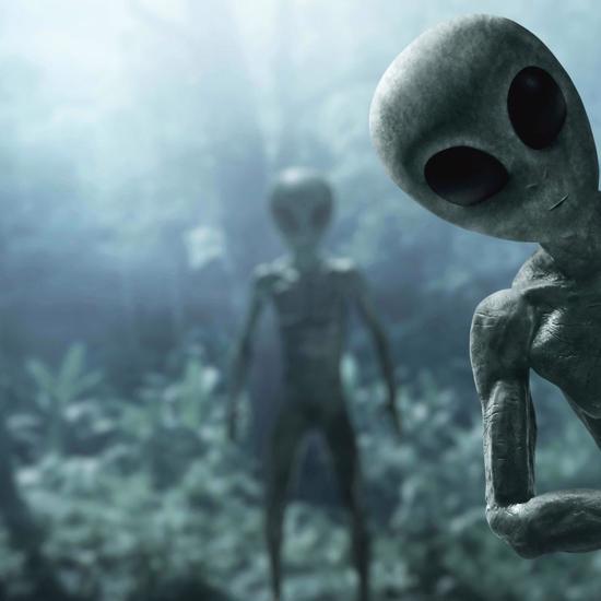 Alleged Mummified Four-Fingered Alien On Display in Mexico