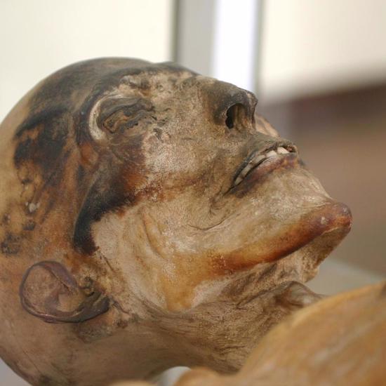 Random Corpses are Becoming Mysteriously Mummified in Portugal